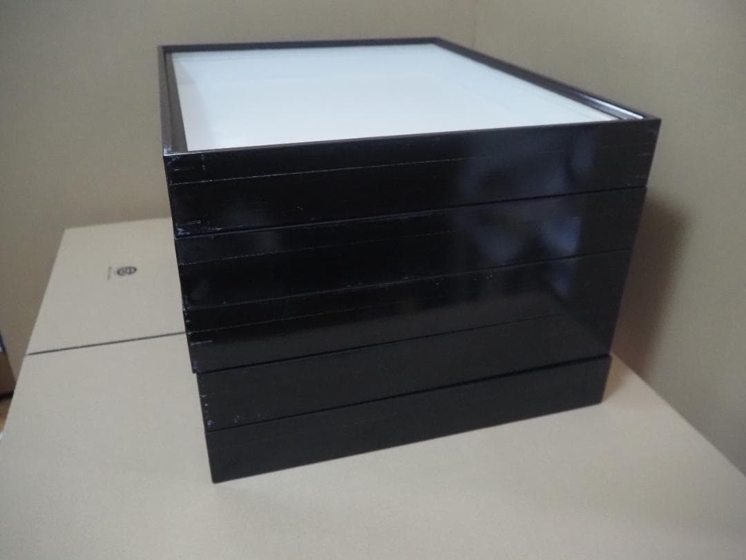 標本箱　ドイツ箱　大型 5個セット(中古、藤本標本用品製)