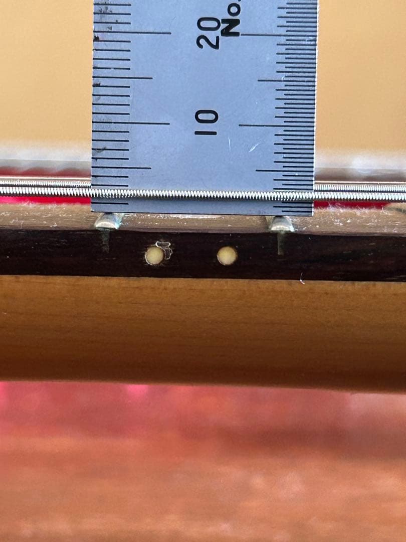TOKAI ビンデージギター JSR シースルーウッドグリーン
