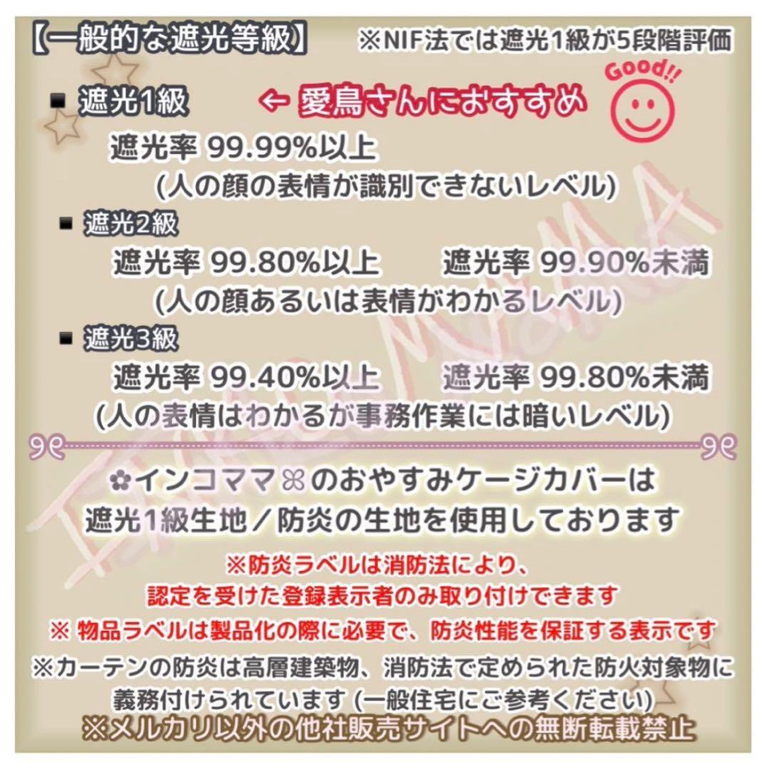 キャリーケージバッグ お出かけ 通院 インコ ルーミィ用 kotori様