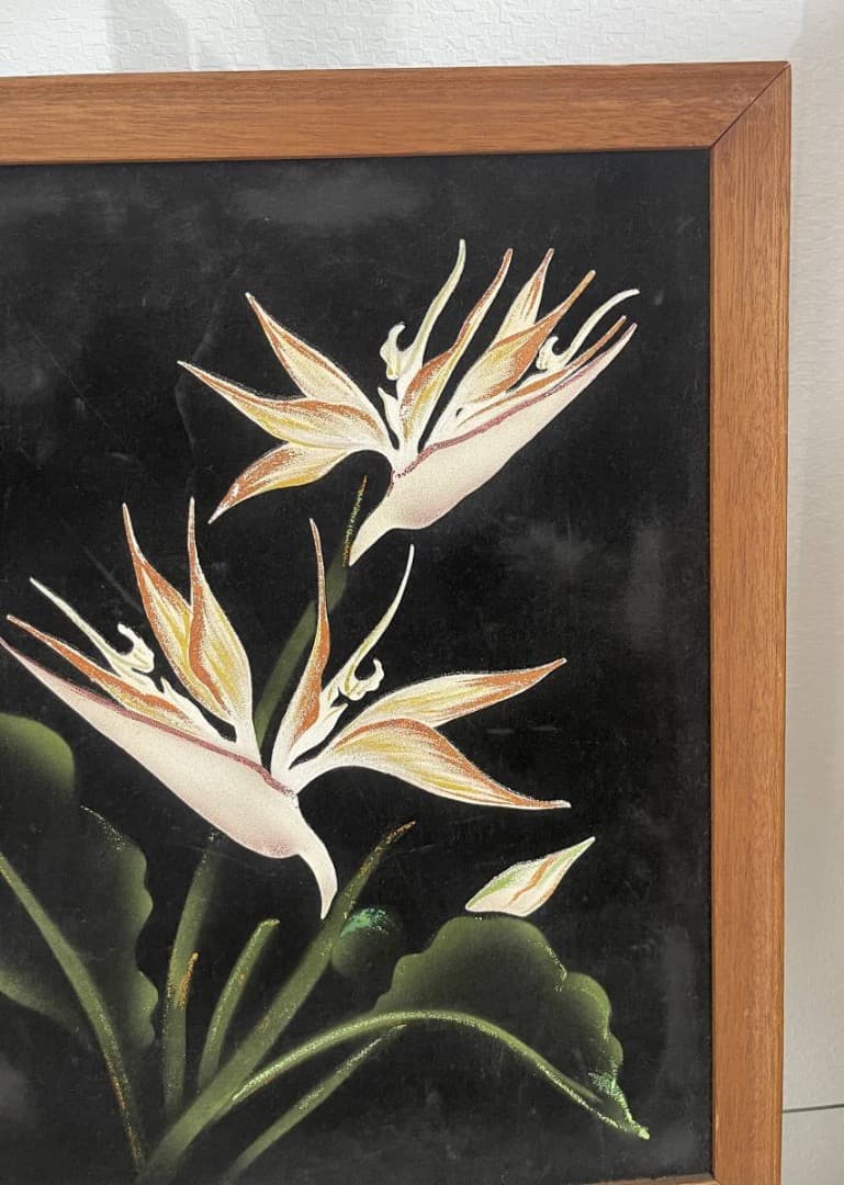 コレクション Hale Pua/ Black Velvet Bird of Paradise