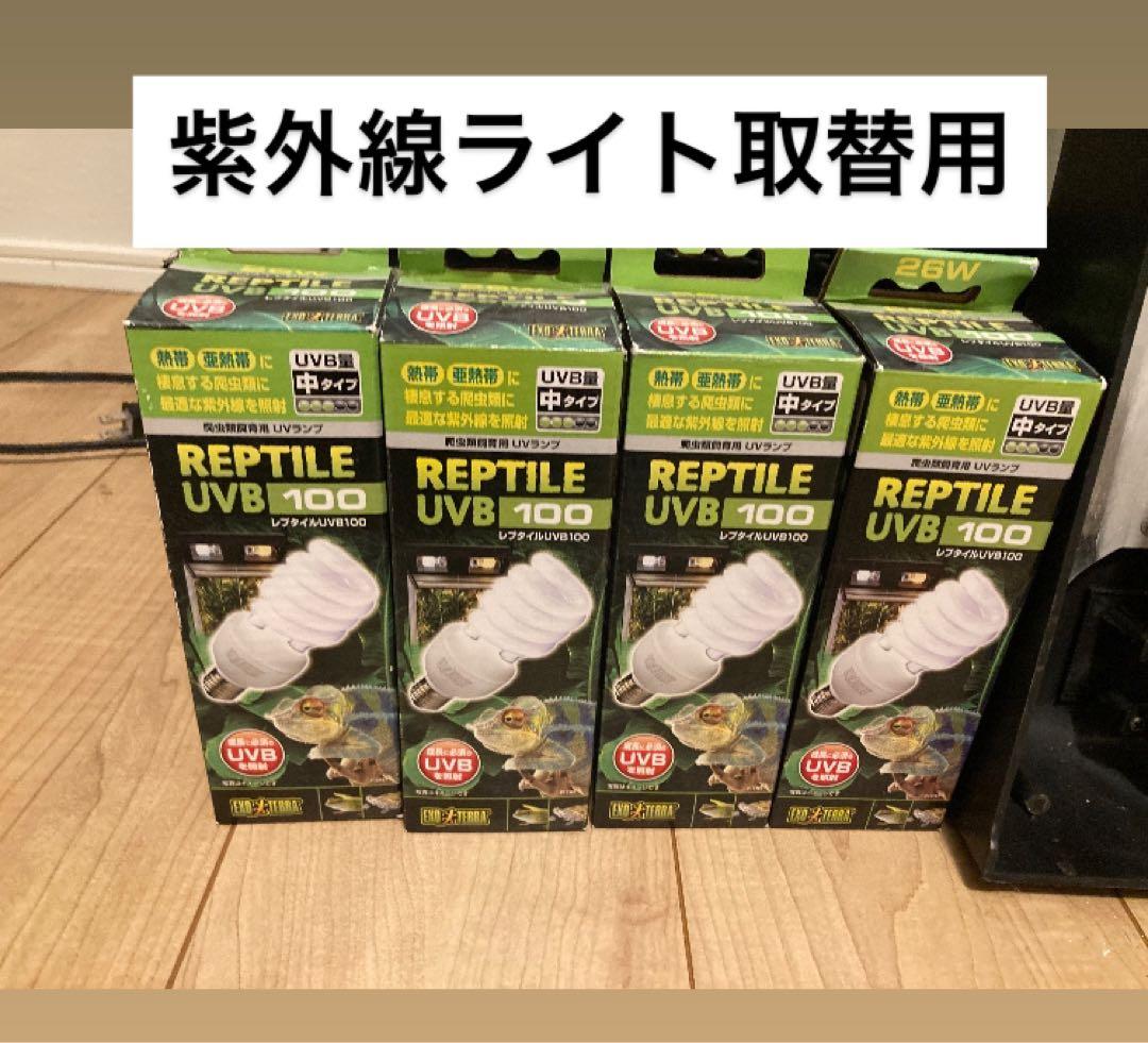 【だいすけ様】爬虫類飼育セット 90x45x60グラステラリウム 爬虫類ケージ