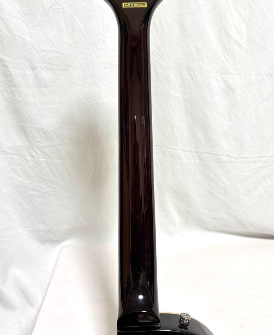 【新品弦張替済】Epiphone Les Paul FLORENTINE