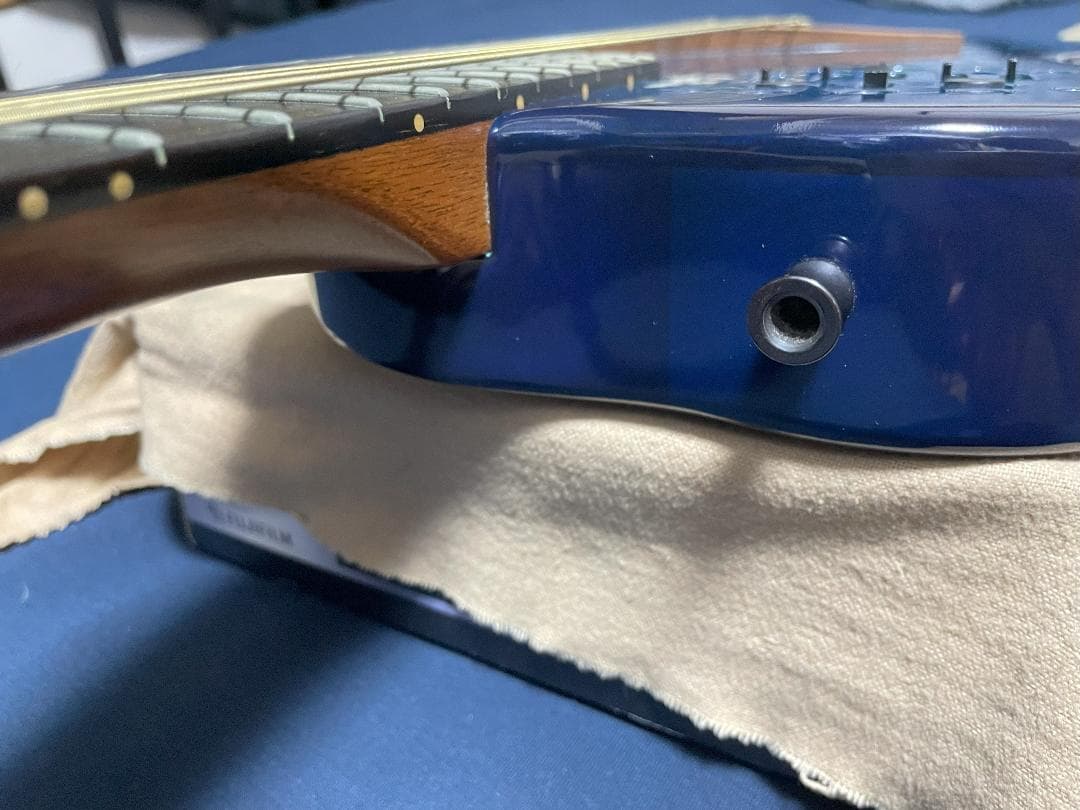 【最終値下げ】Godin Multiac Nylon SA ゴダン エレガット
