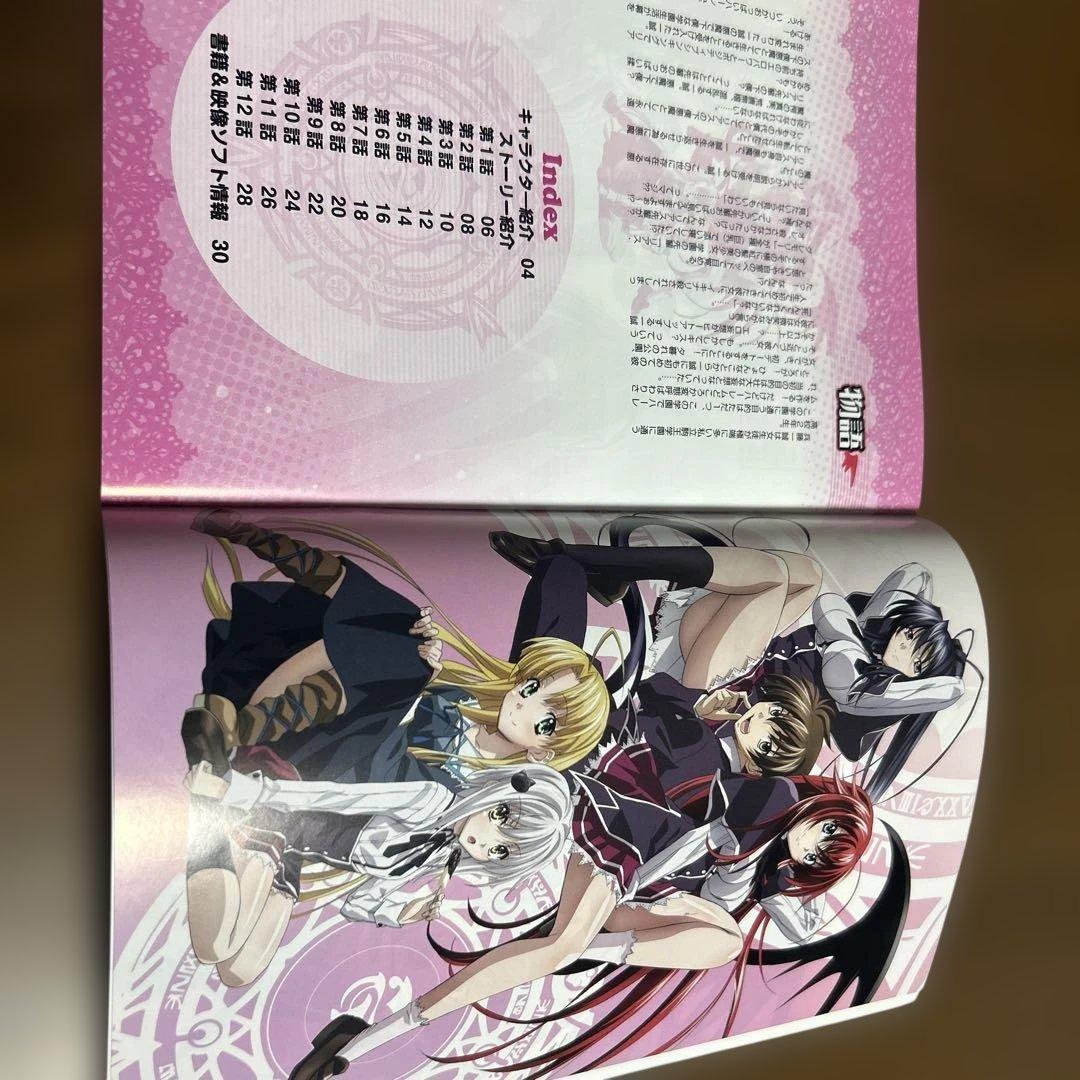 ハイスクールD×D TVアニメまるわかり　どきどきブック【非売品】