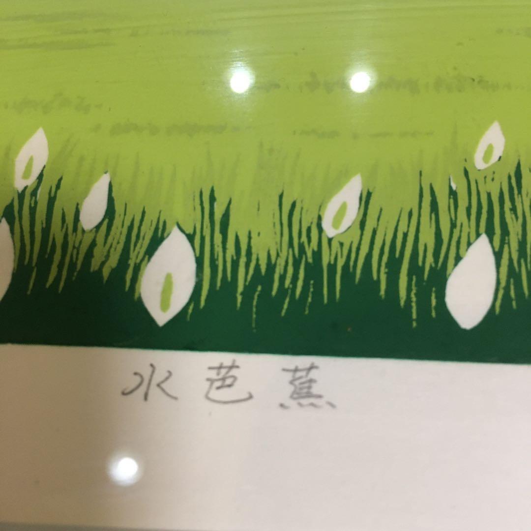 水芭蕉の絵