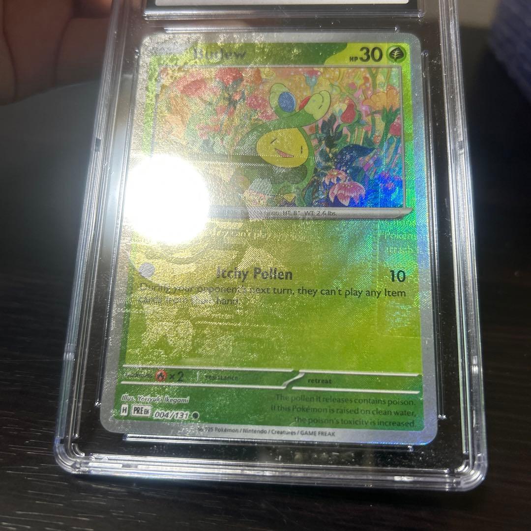 ポケモン　エラーカード　スボミー　英語版 CGC9点