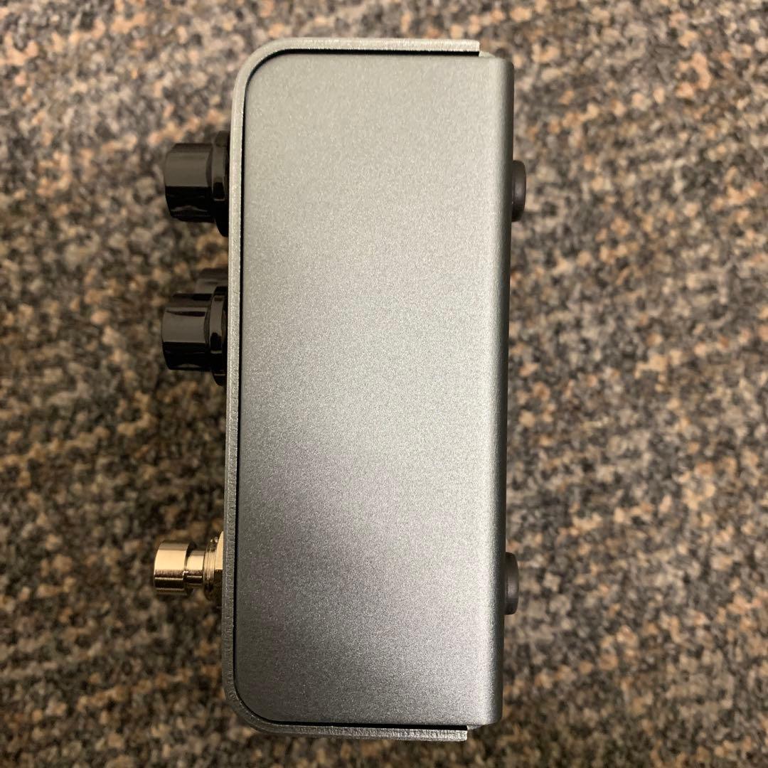strymon El Capistan V2 おこげ