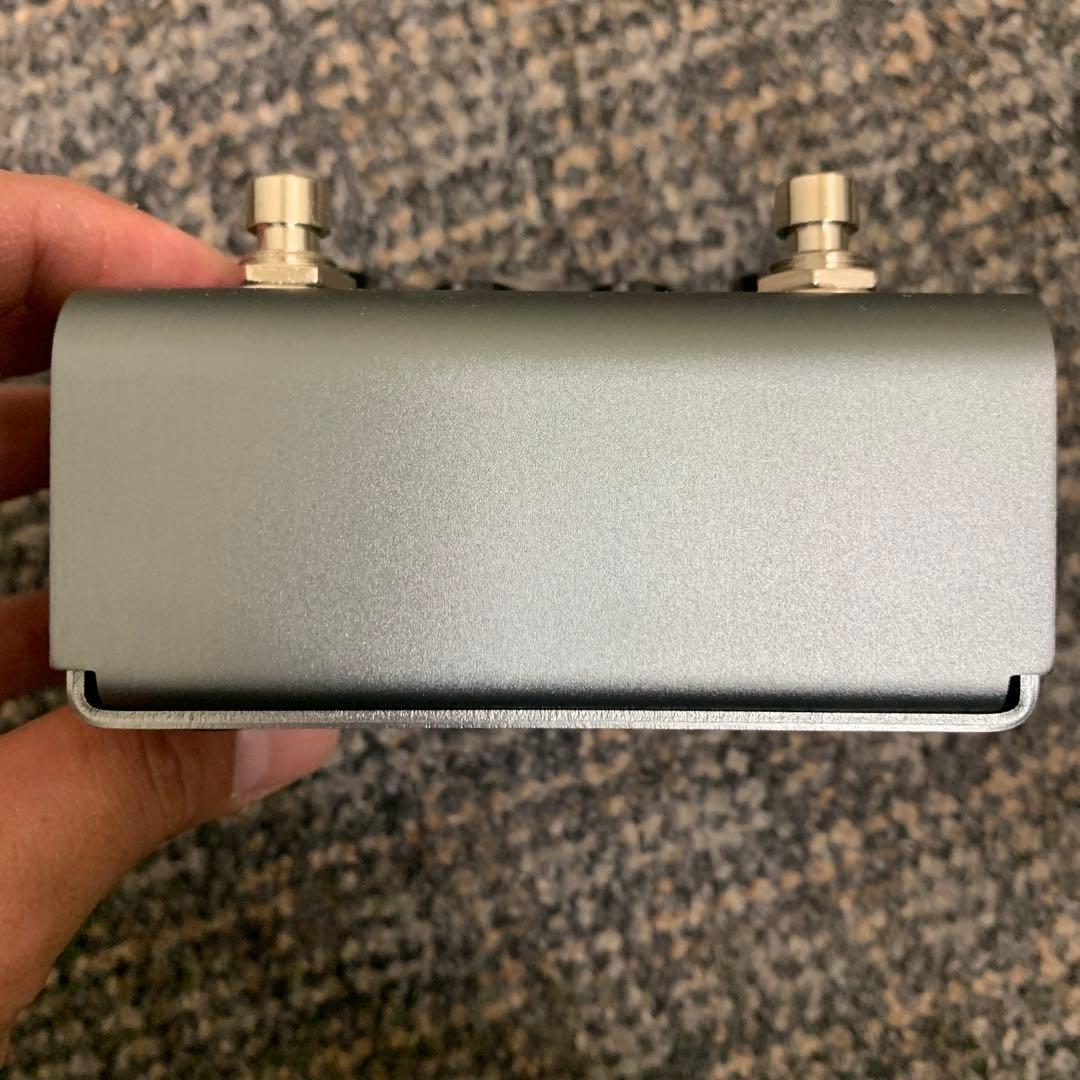 strymon El Capistan V2 おこげ