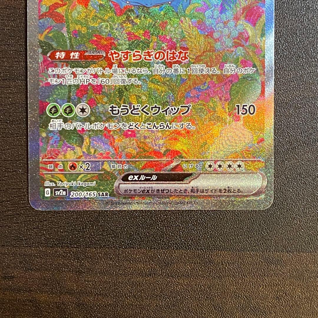 フシギバナ　SAR 200/165