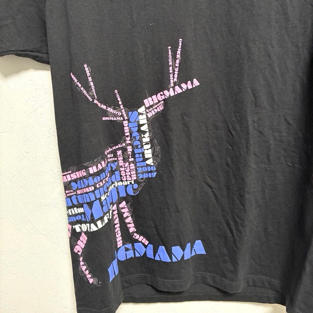 金井政人 BIGMAMA 10周年 ビッグママ ライブツアー Tシャツ Sサイズ