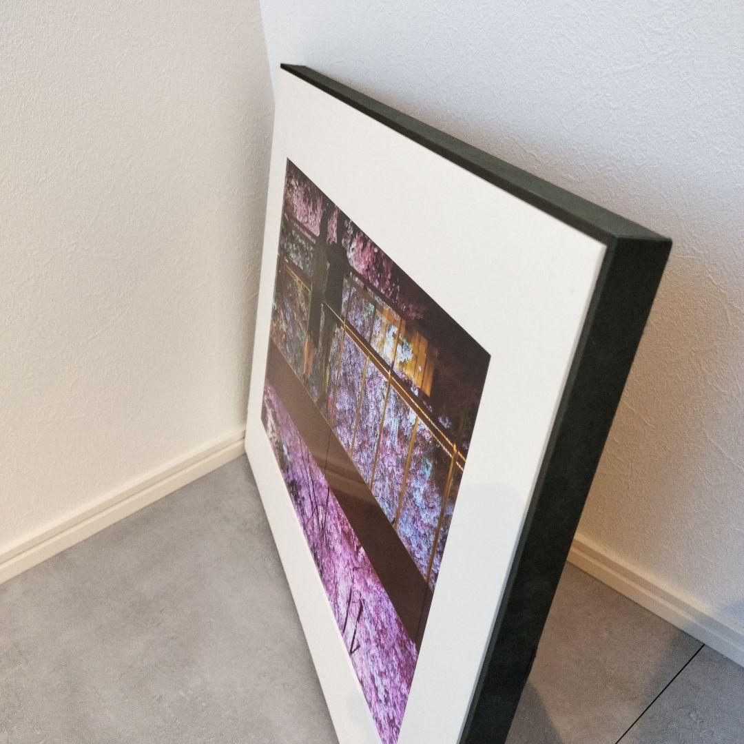 夜桜 写真作品 額装 アートパネル ピンク 紫 インテリア
