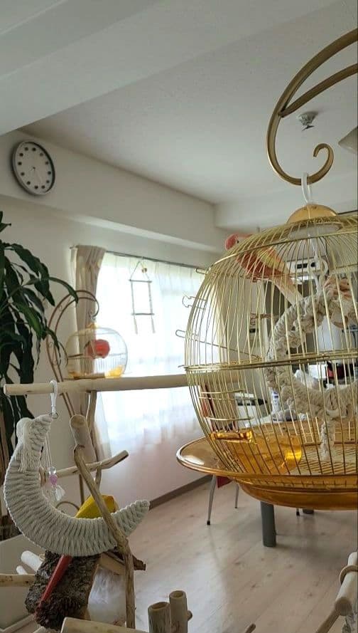 鳥かご ケージ スタンド セット インコ