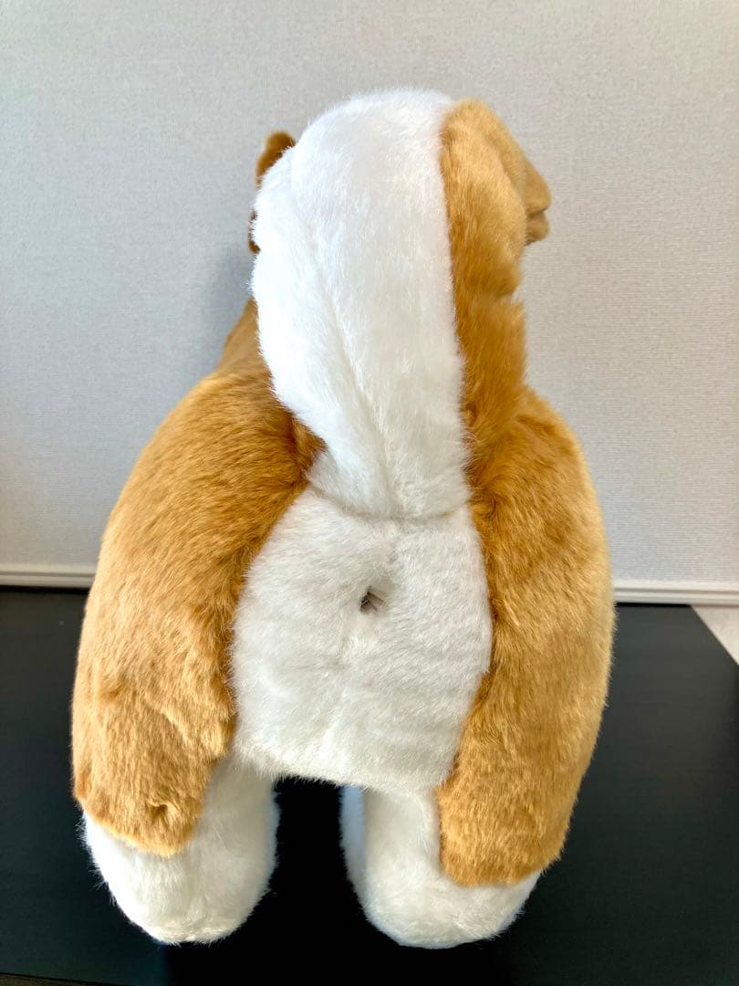 アニフル　保定のできる犬型医療シミュレーター「しばわん」