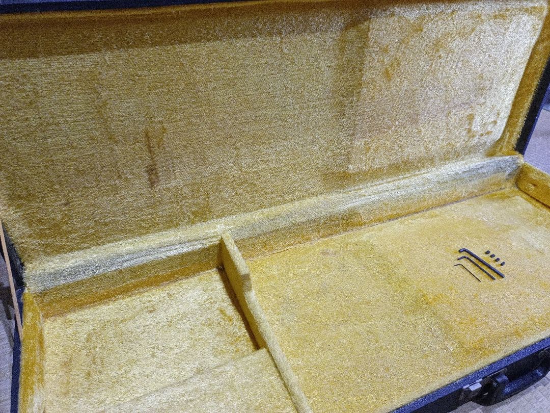 Chatting Bird CAD-630 エレキギター 青緑