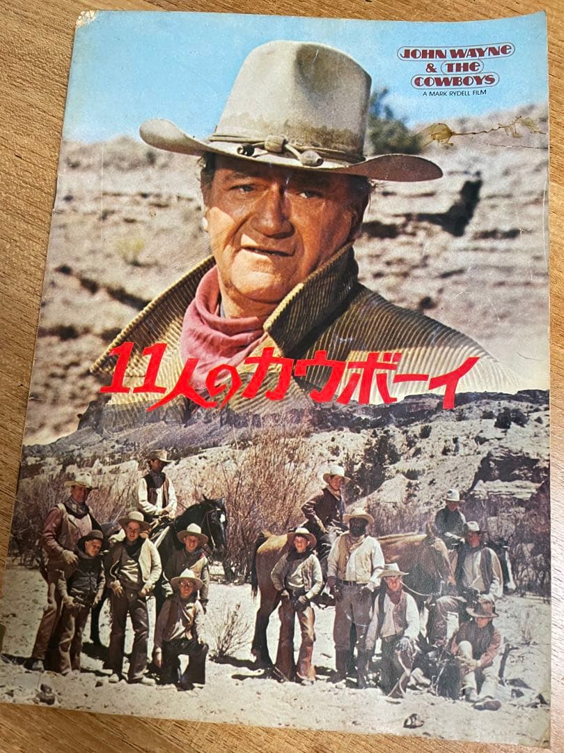 レア映画パンフレット　洋画