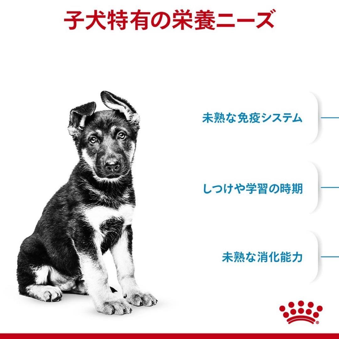 ロイヤルカナン マキシパピー 16kg 大型犬 子犬用