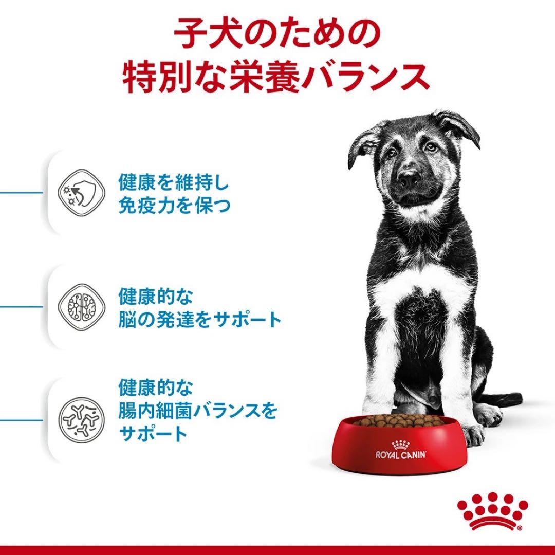 ロイヤルカナン マキシパピー 16kg 大型犬 子犬用