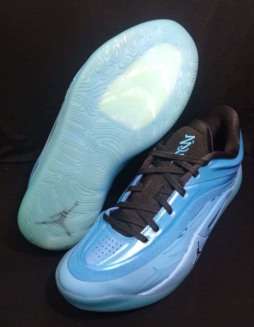 シューズ(男性用) NIKE JORDAN ZION 4 PF 28.5cm US10.5
