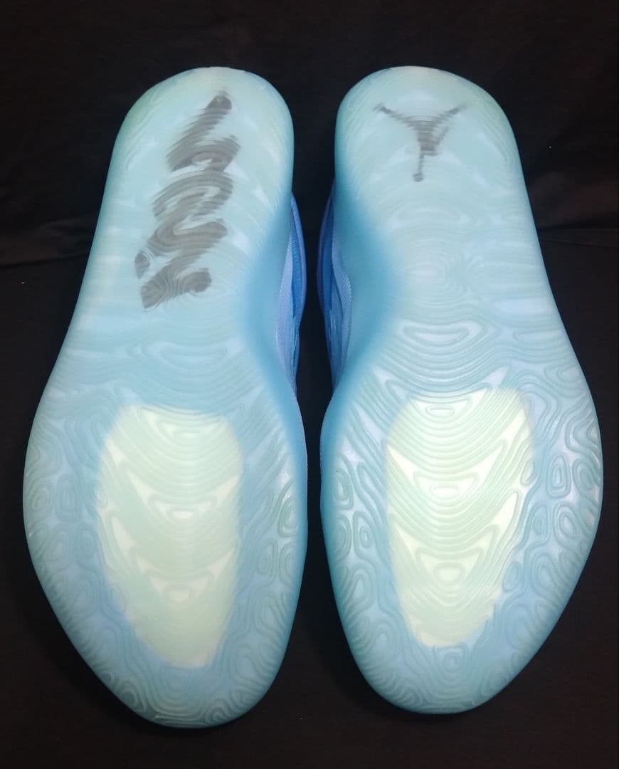 シューズ(男性用) NIKE JORDAN ZION 4 PF 28.5cm US10.5