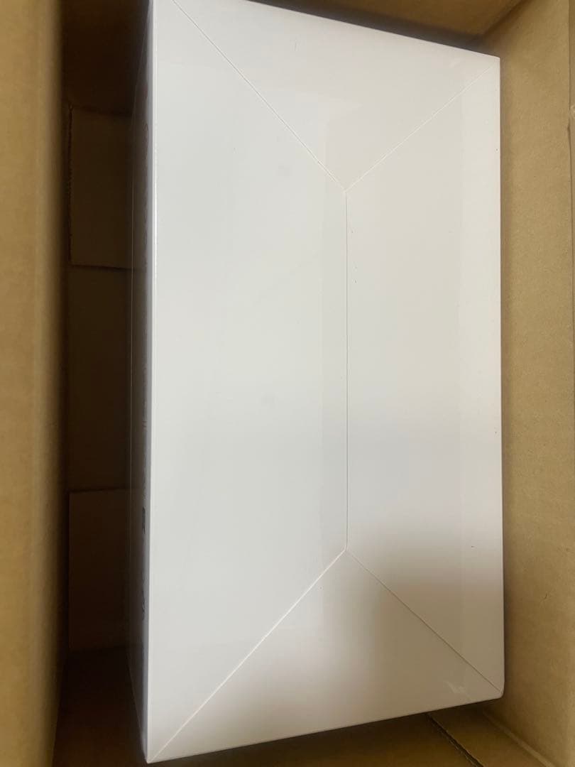 Big into Energyラブブアソートボックス新品未開封