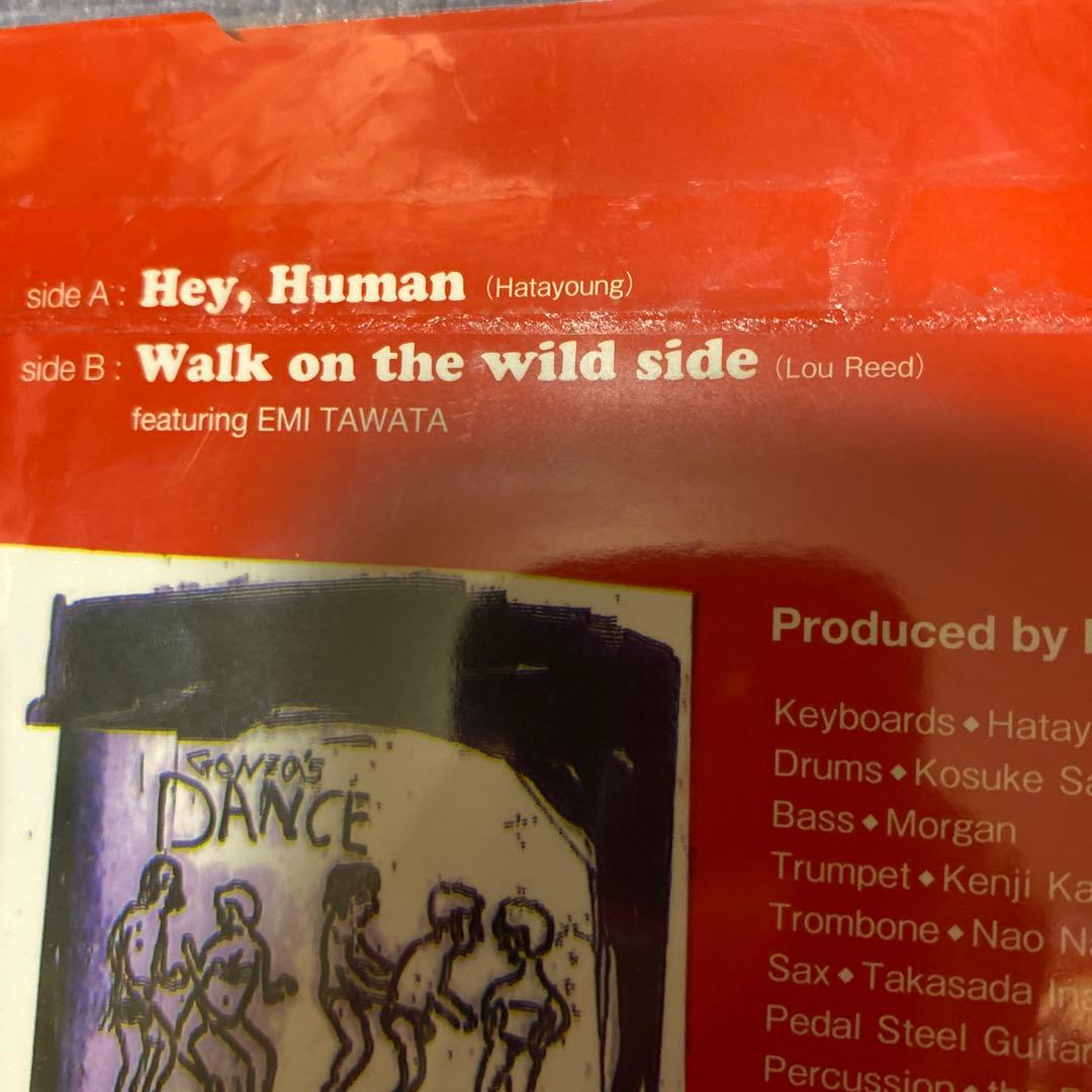 frisco hey,human レコード　新品未開封