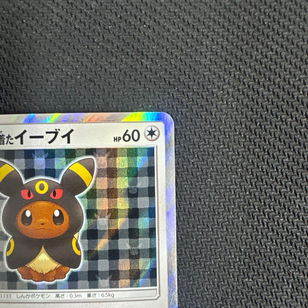 ポケモンカード　ポンチョを着たイーブイ　ブラッキー