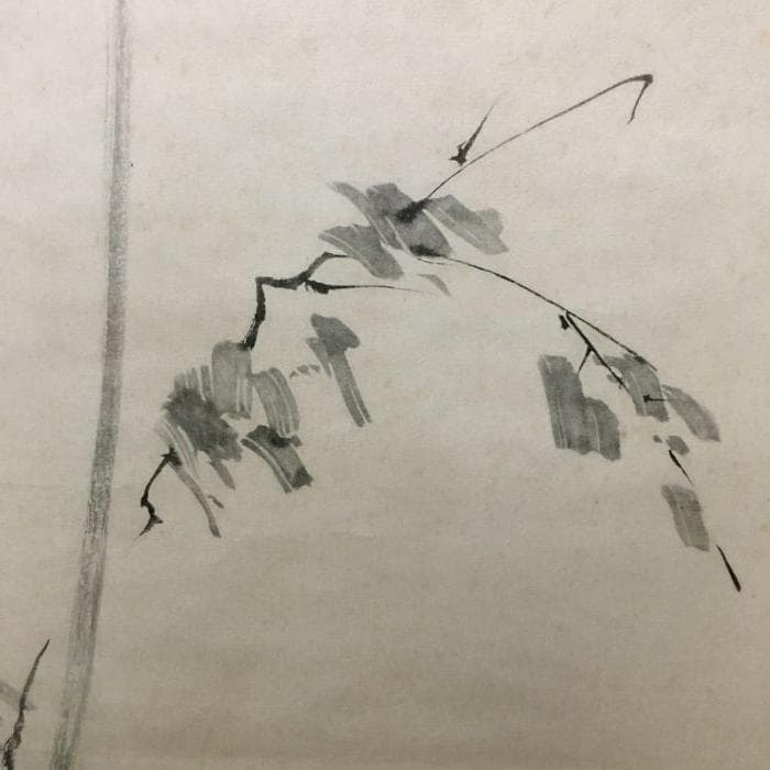 Y 中古 宮本武蔵 掛け軸 枯木鳴鵙 こぼくめいげき 鳥 骨董品 古美術 S