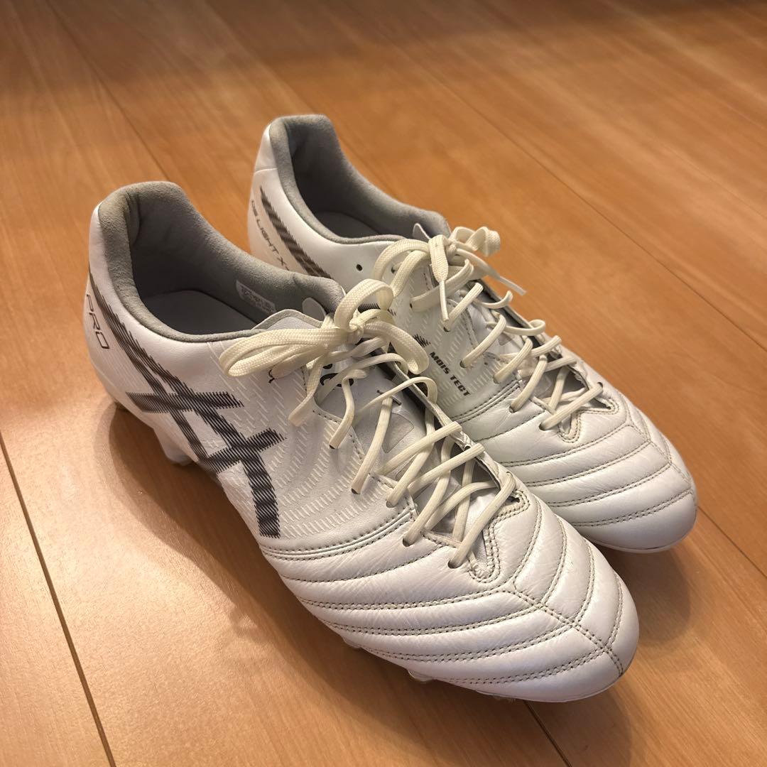 取替式DS LIGHT X-FLY