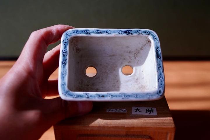郵送無料　小品盆栽佐野大助  五彩絵　風景鉢