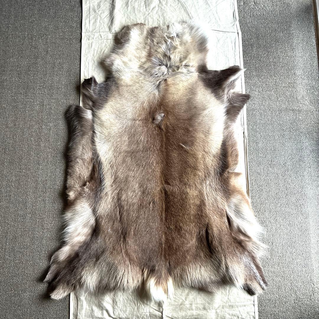 【新品】トナカイ　毛皮