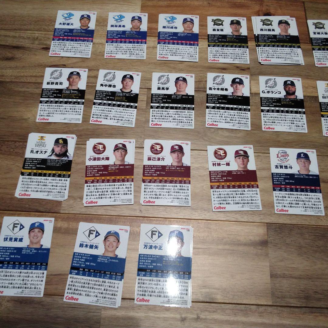 2024プロ野球カードホルダー 48枚収納 103種類159枚 まとめ売り