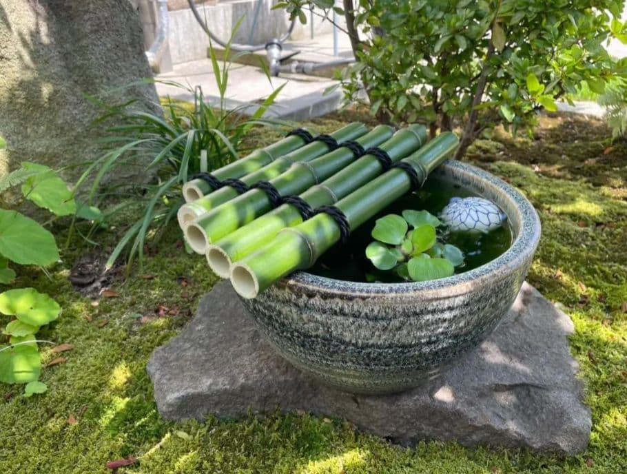 【オーダー制作します】天然青竹で作るメダカ鉢の蓋