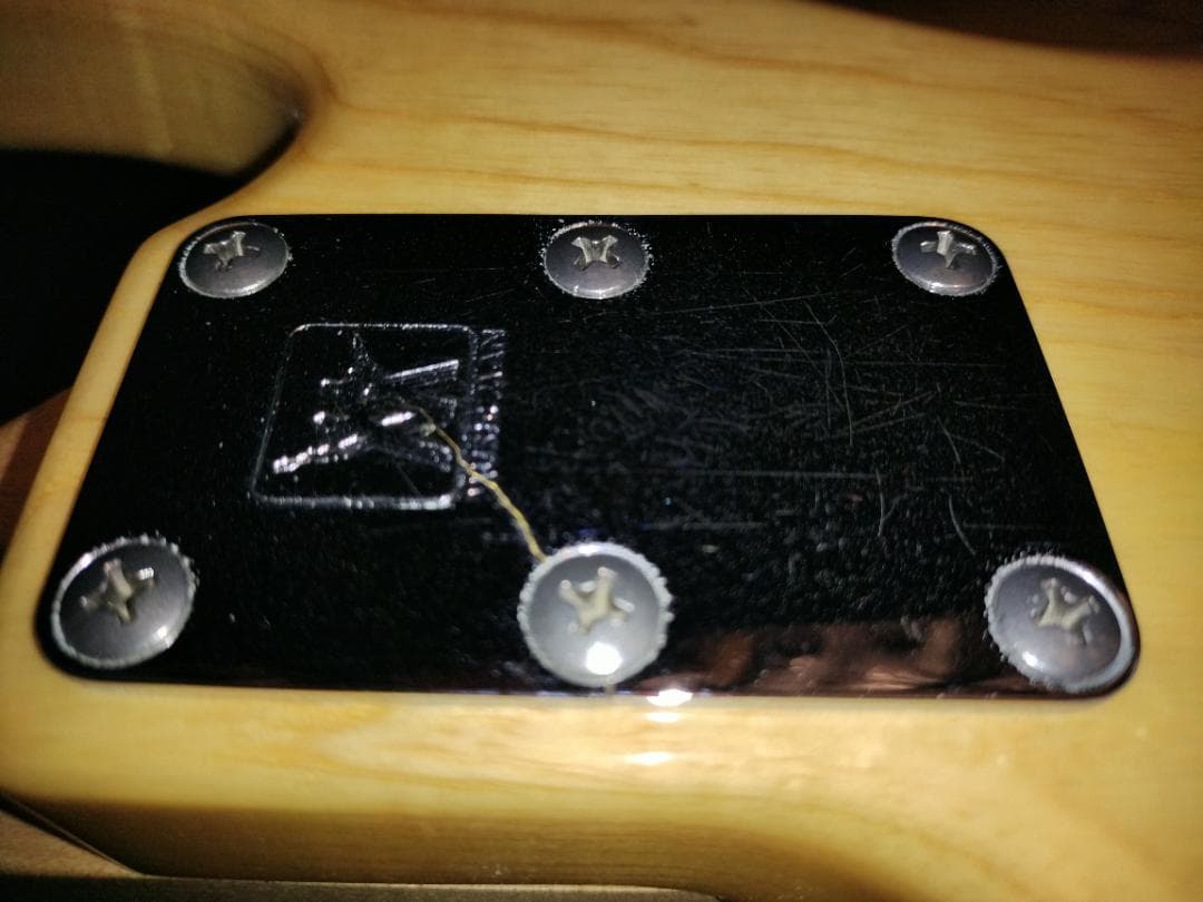 ☆Music Man / StingRay EX☆