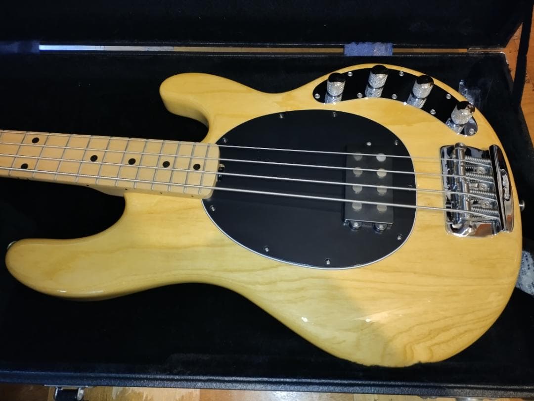 ☆Music Man / StingRay EX☆