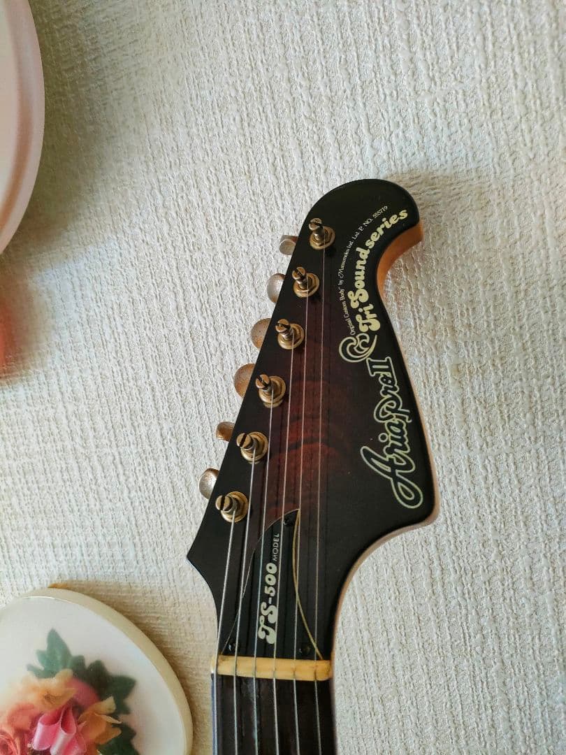 aria pro Ⅱ TS-500