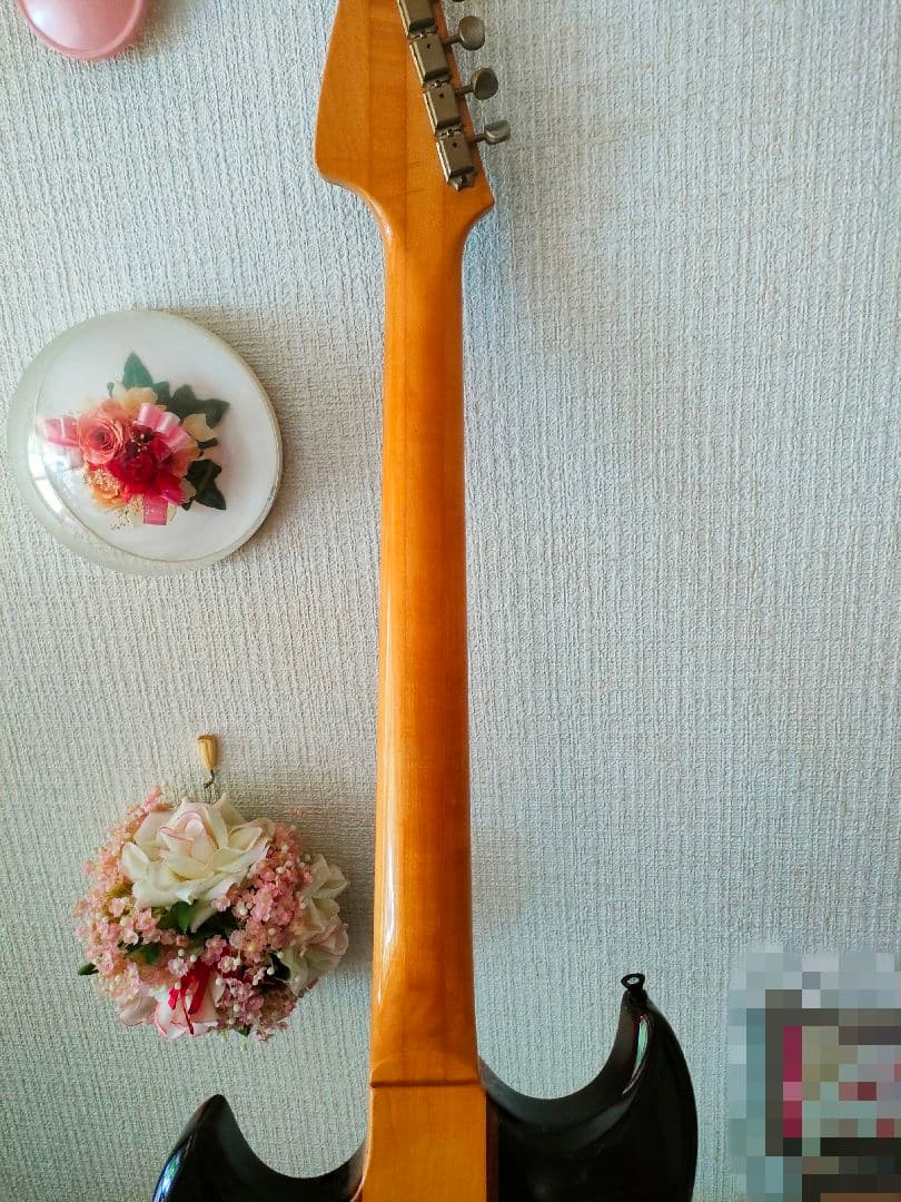 aria pro Ⅱ TS-500