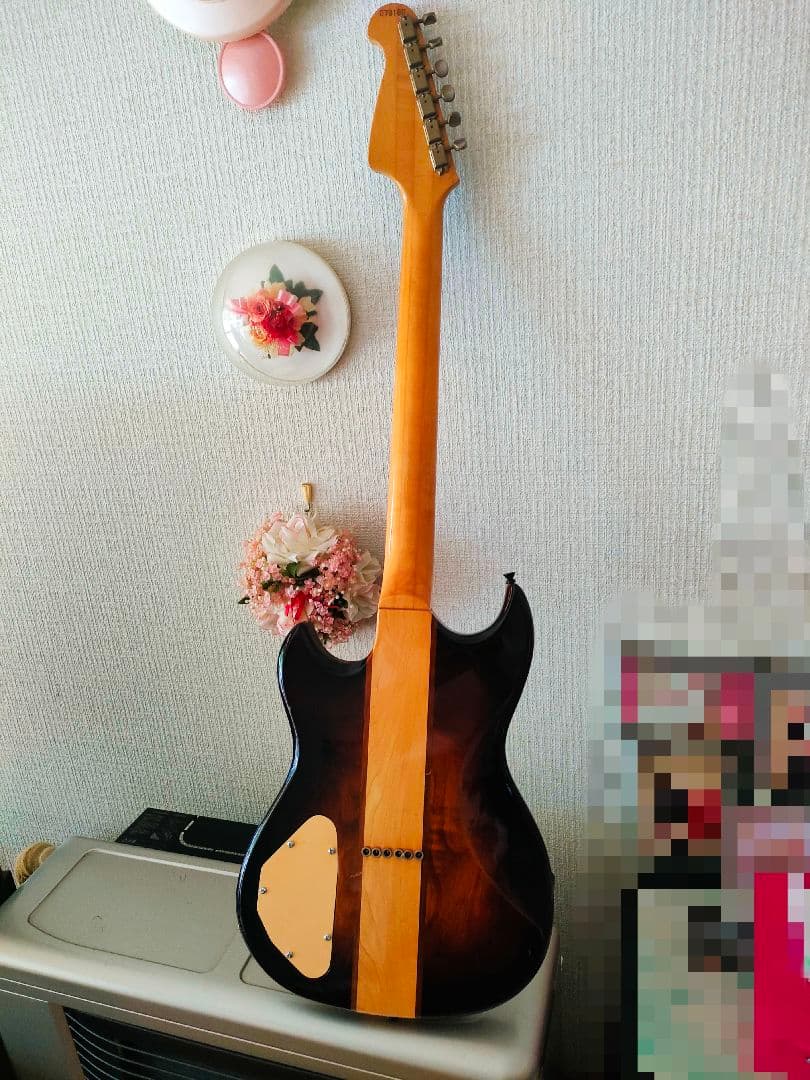 aria pro Ⅱ TS-500
