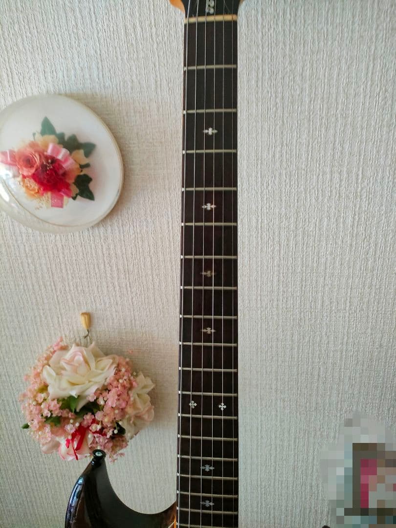 aria pro Ⅱ TS-500