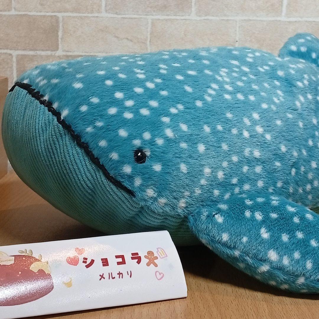  Gobfrey Whale Shark ジンベイザメ　　鯨動物