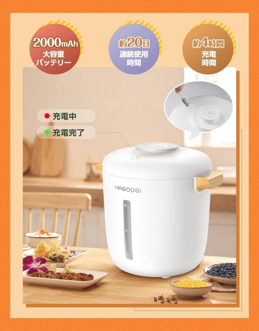 真空保存専用☆10L大容量フードストッカー