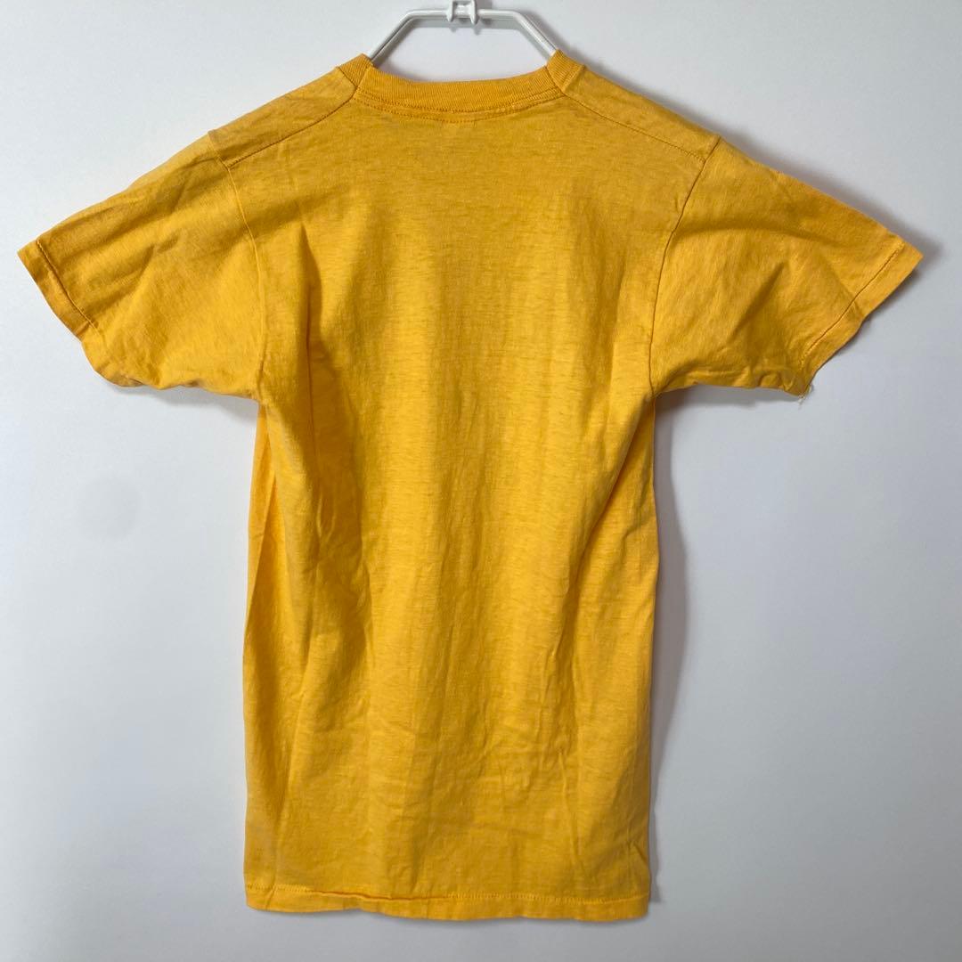 ヴィンテージ レッドツェッペリン USA製 70's バンドTシャツ Sサイズ
