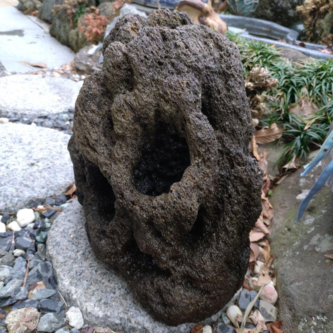 黒い溶岩石 水槽用石 大型