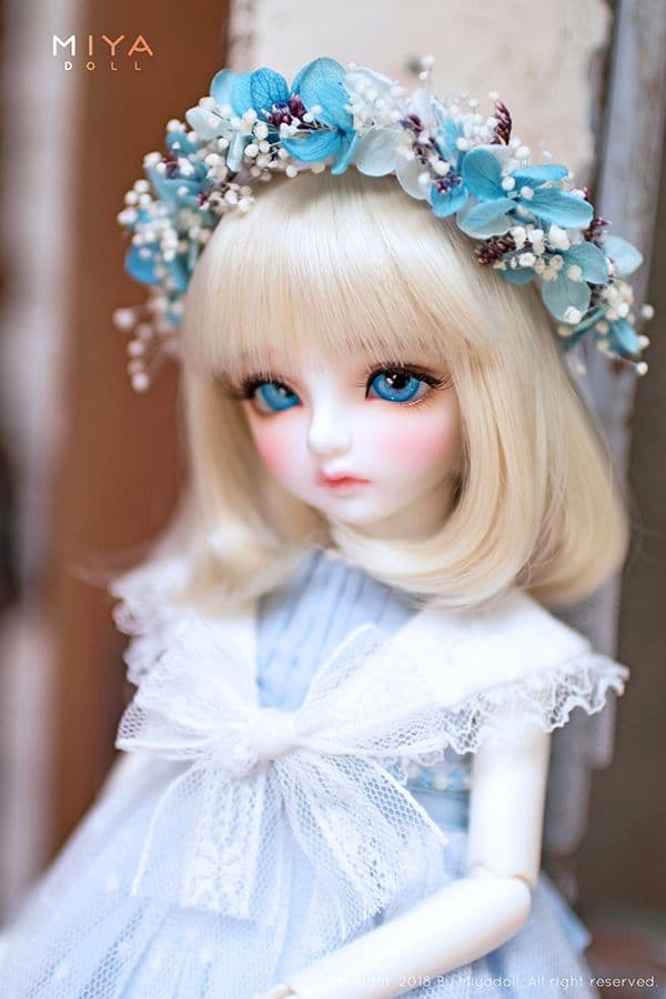 MIYA DOLL 限定 Blue Bell holiday ヘッドのみ 新品