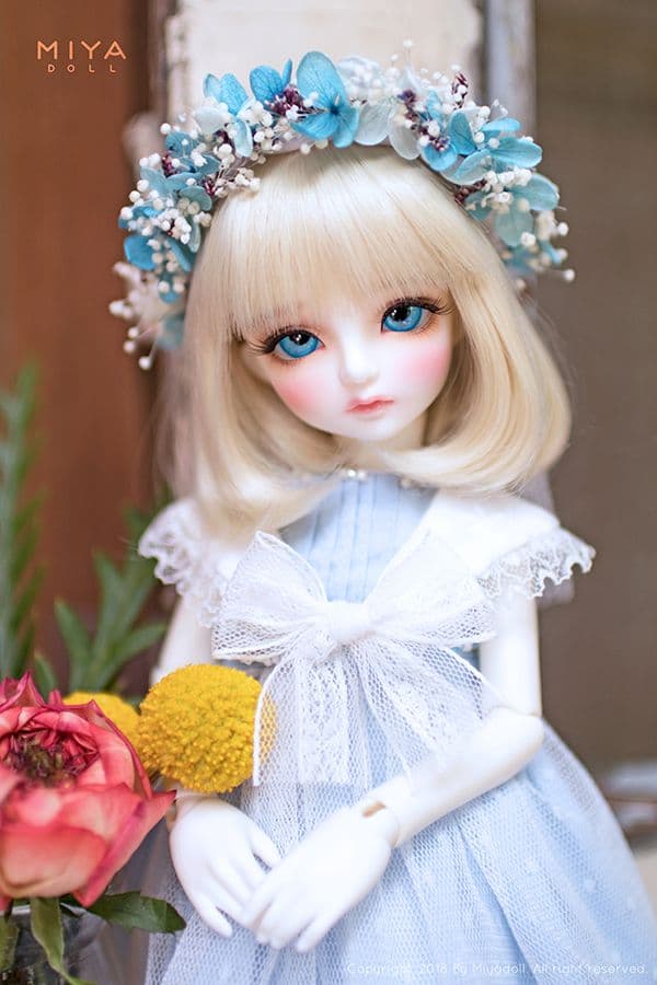 MIYA DOLL 限定 Blue Bell holiday ヘッドのみ 新品