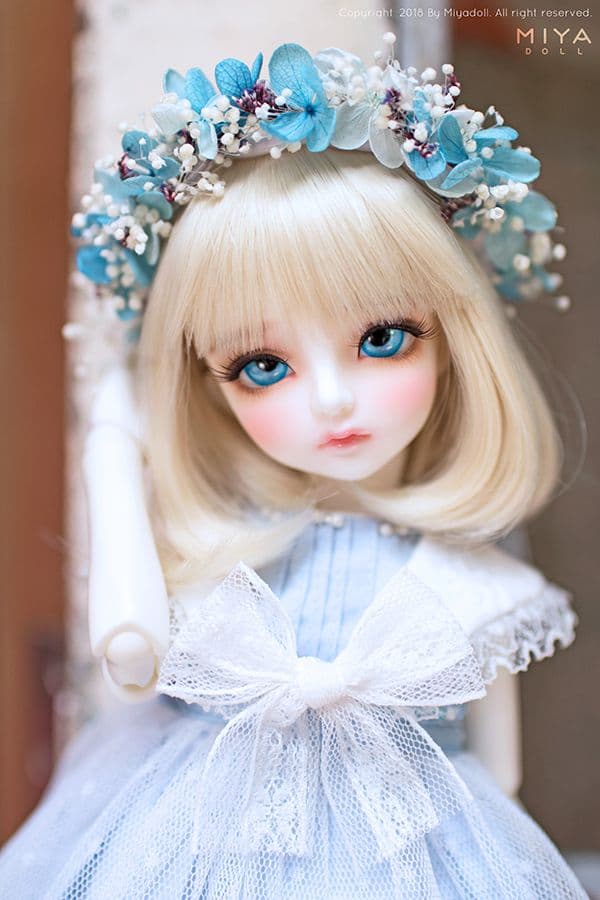 MIYA DOLL 限定 Blue Bell holiday ヘッドのみ 新品