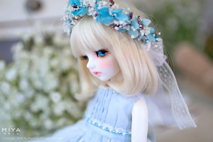 MIYA DOLL 限定 Blue Bell holiday ヘッドのみ 新品