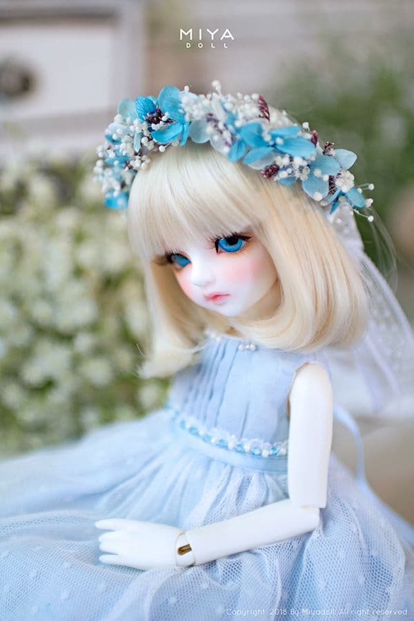 MIYA DOLL 限定 Blue Bell holiday ヘッドのみ 新品