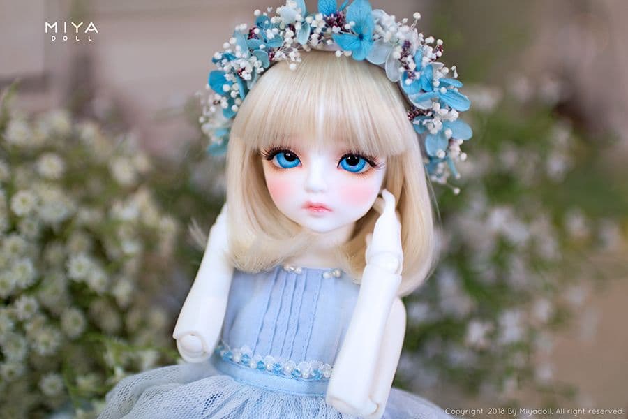 MIYA DOLL 限定 Blue Bell holiday ヘッドのみ 新品