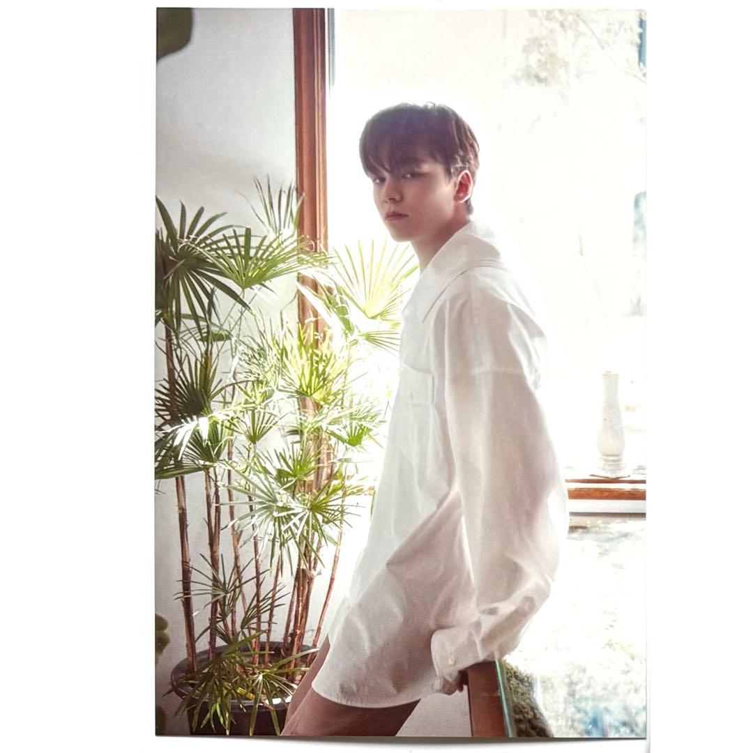 seventeen 缶バッジ　ミンハオ　ジュン　ウォヌ　ウジ　ホシ　anan