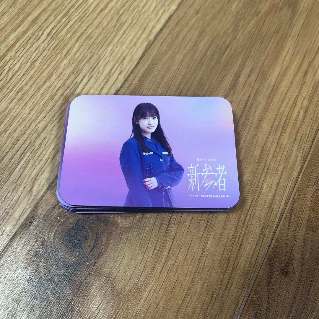 櫻坂46 新参者 三期生 マグネットシートセット